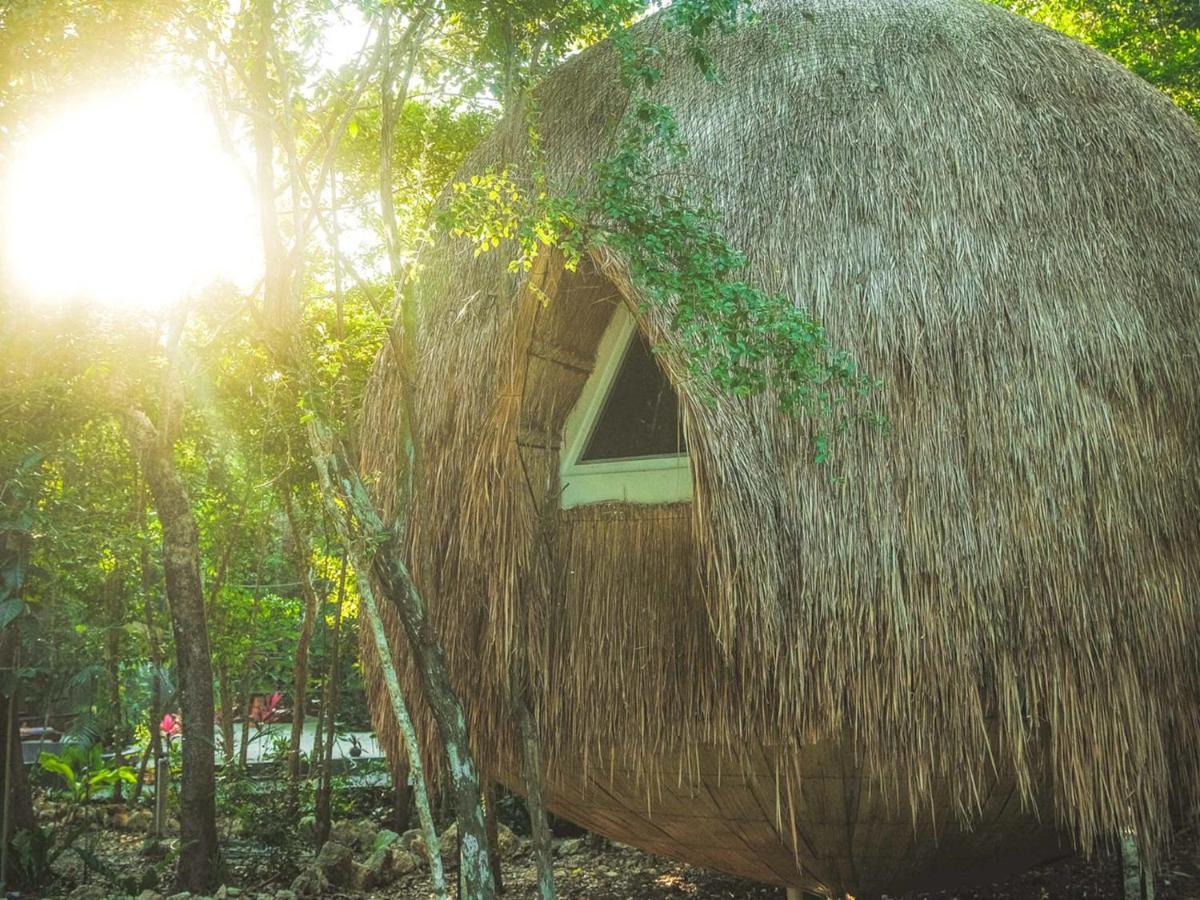 Casa Del Arbol At Villa Duendes Akumal Kültér fotó