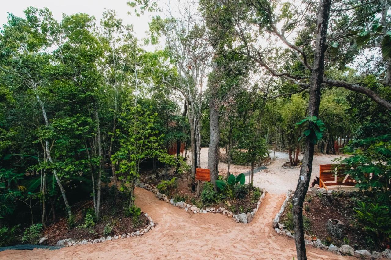 Casa Del Arbol At Villa Duendes Akumal Kültér fotó